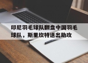 开云下载-印尼羽毛球队翻盘中国羽毛球队，斯里坎特送出助攻的简单介绍