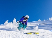 开云体育平台APP-跨界争锋，猛龙强势晋级与福克斯赛道接管的胜利哲学