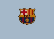 开云体育平台APP-从北境到世界之巅，当猛龙之力与欧文时刻在2026交汇