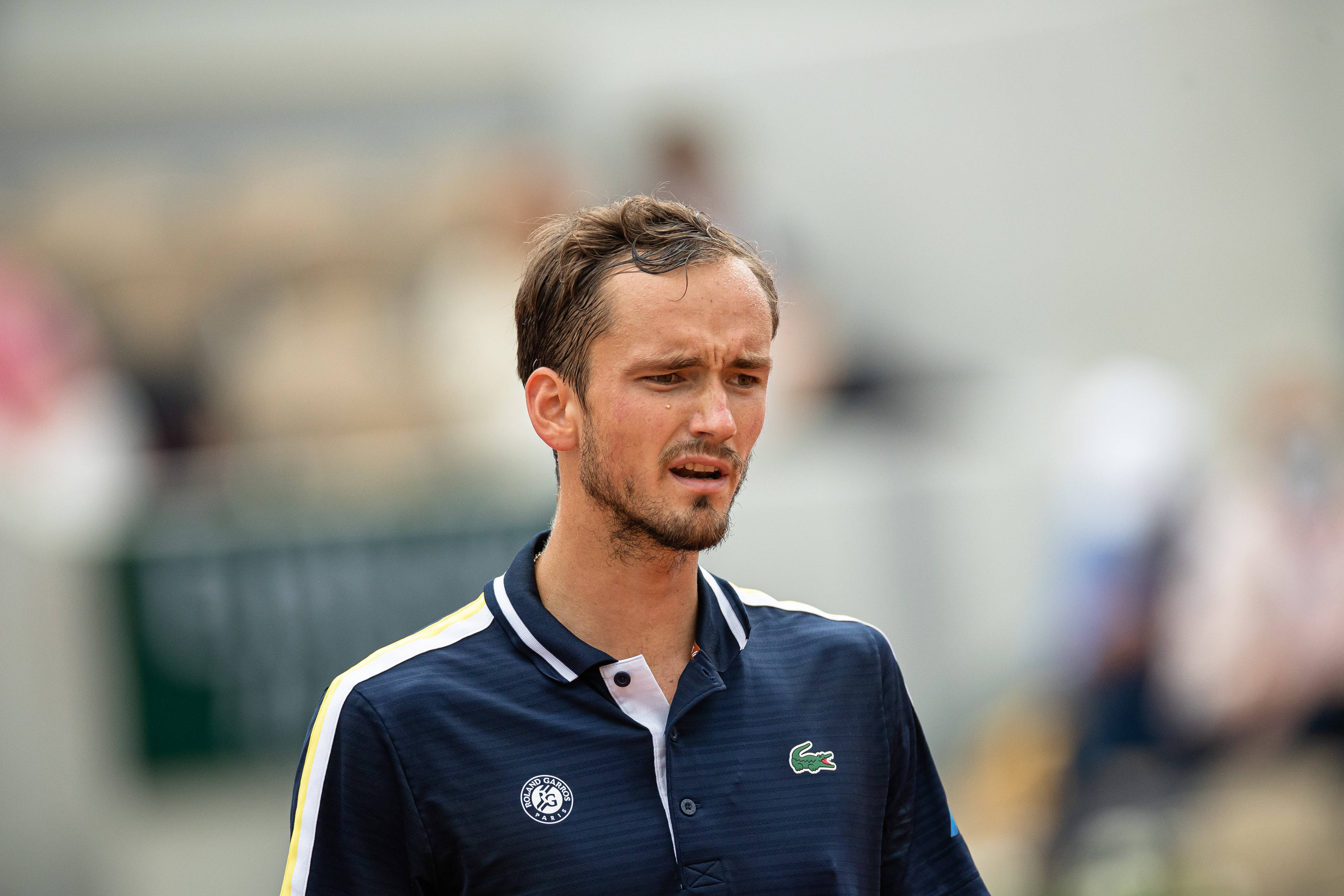 德国网球队完胜欧洲网球队，梅德韦杰夫惊艳世界的简单介绍