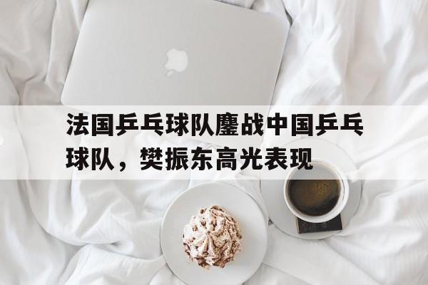 法国乒乓球队鏖战中国乒乓球队，樊振东高光表现的简单介绍