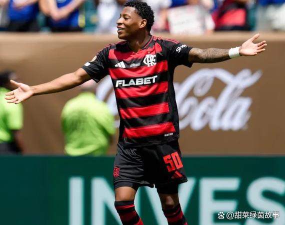 巴西足球联赛：弗拉门戈力压圣保罗夺冠的简单介绍