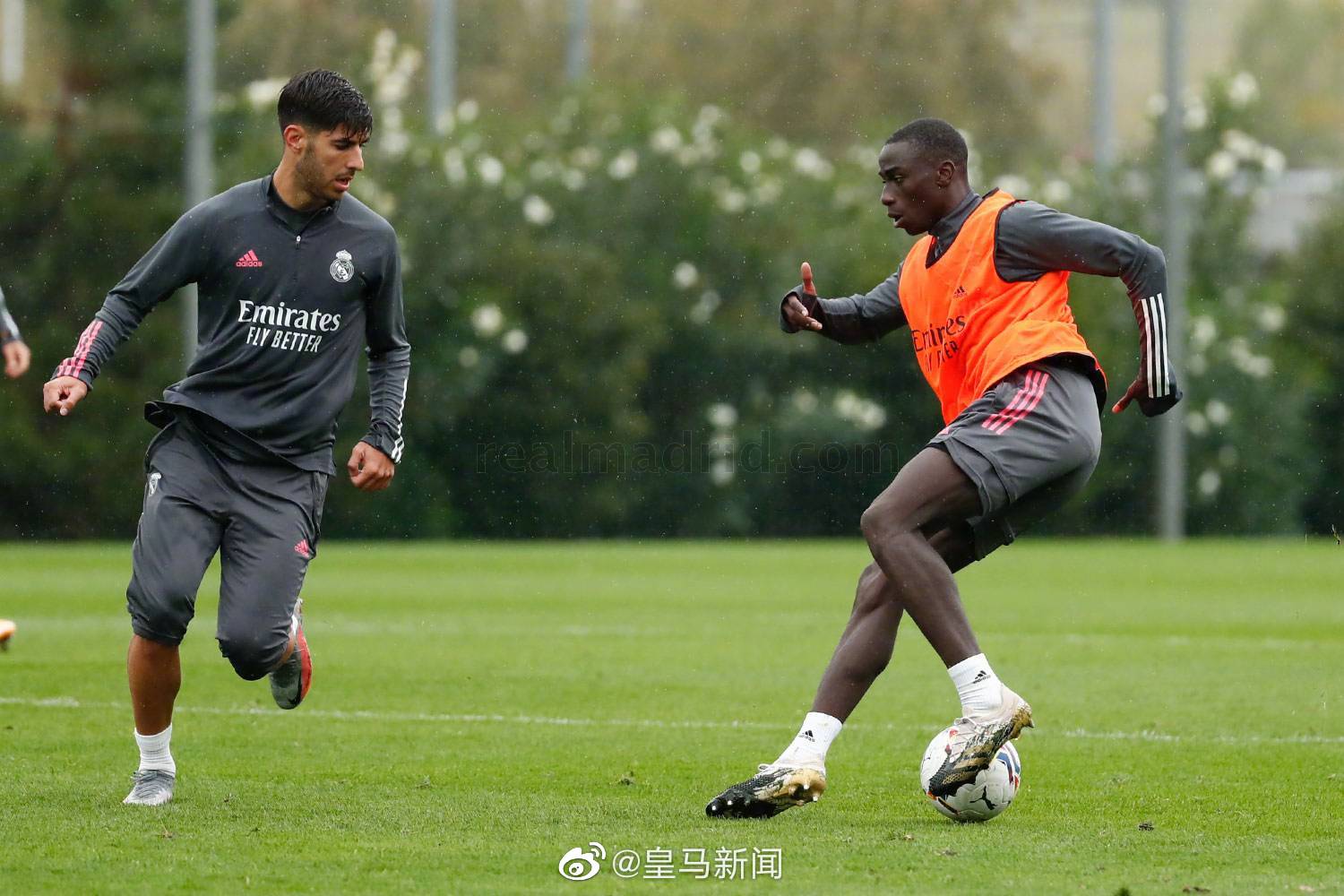 包含阿尔梅里亚全力争胜，全队士气高昂备战的词条